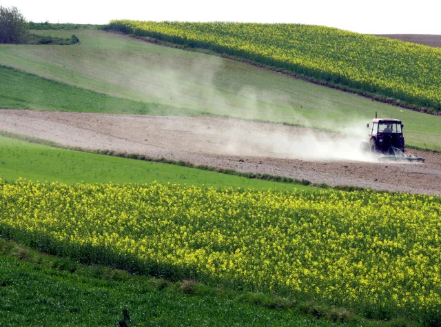 Biomasa mniej eko od ropy