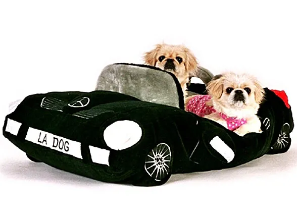 Pies w wersji luksusowej