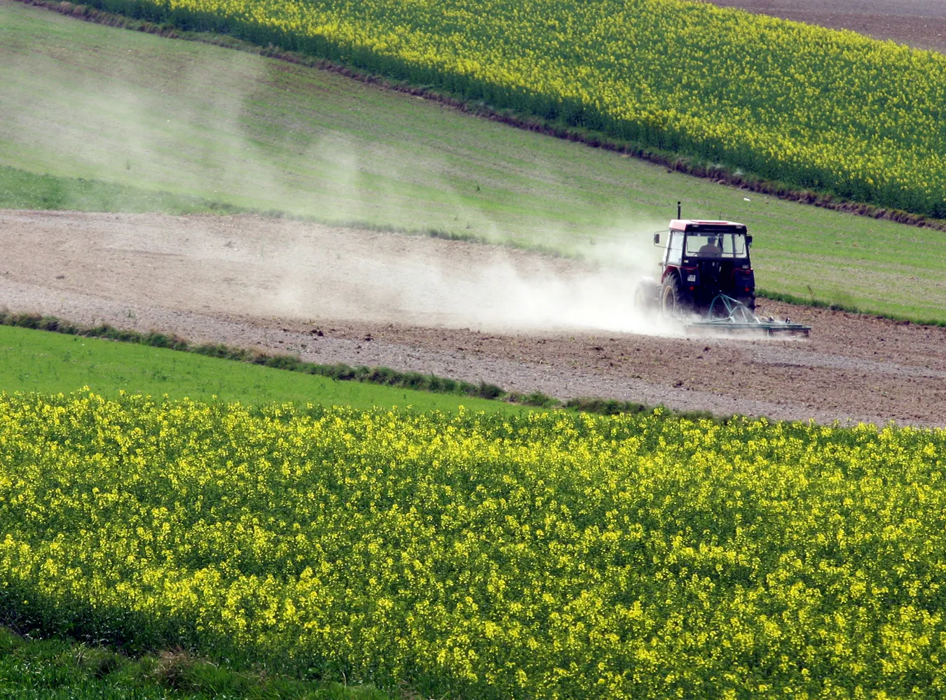 Rząd tnie rolnikom ubezpieczenia