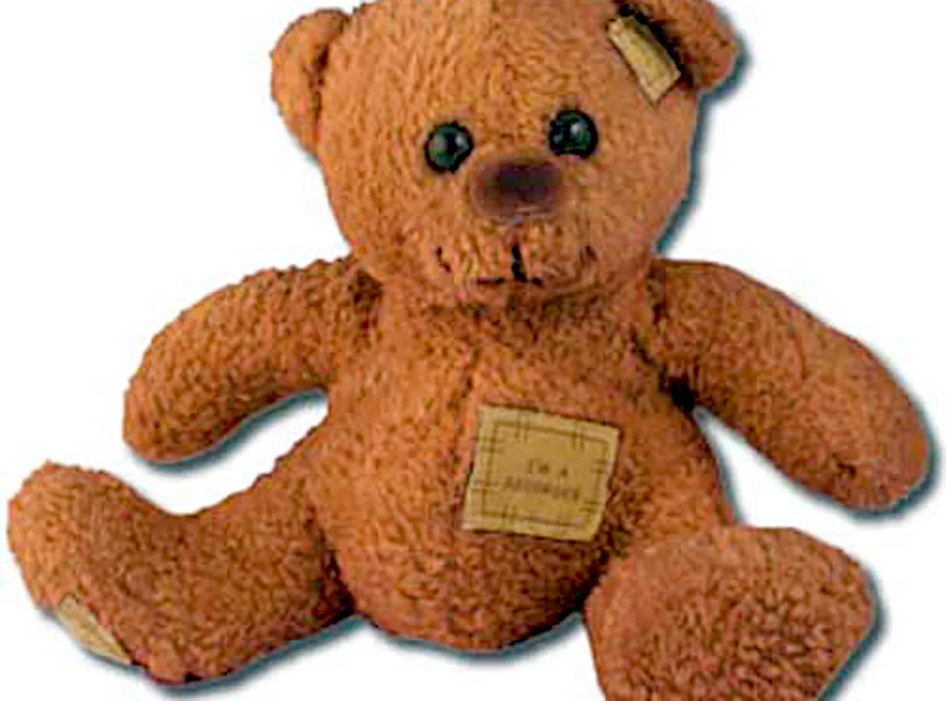 Miś, który mówi twoim własnym głosem