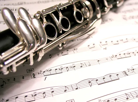 Biegły zbada, czy klarnet przekracza normy