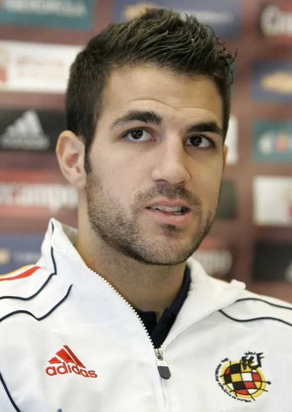 cesc_fabregas_287491a_1428696.jpg