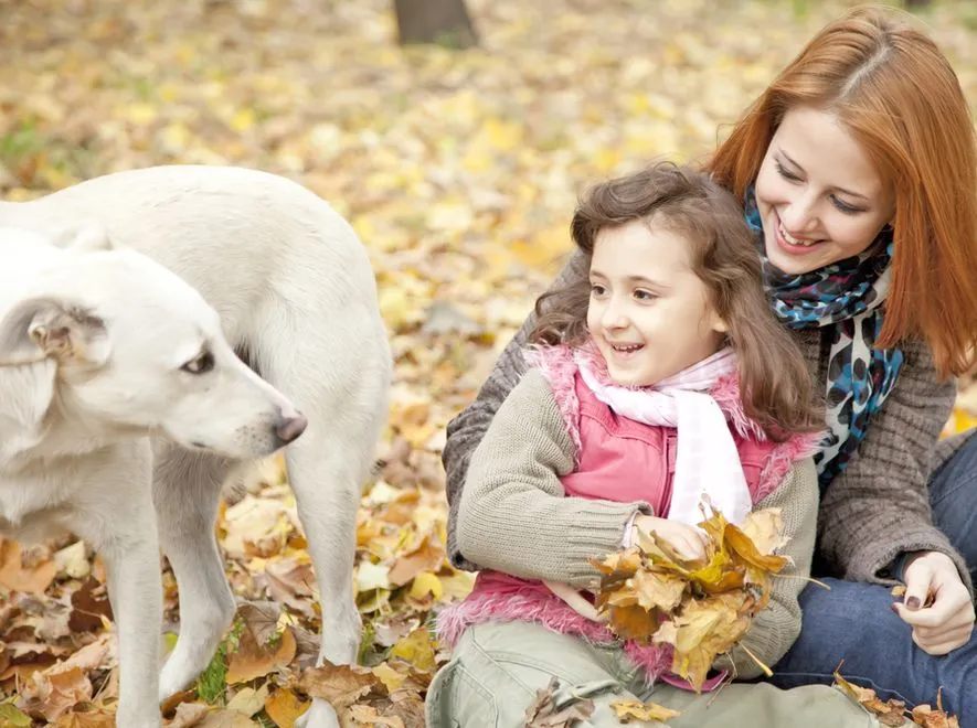 Chroń swoje dziecko przed psem