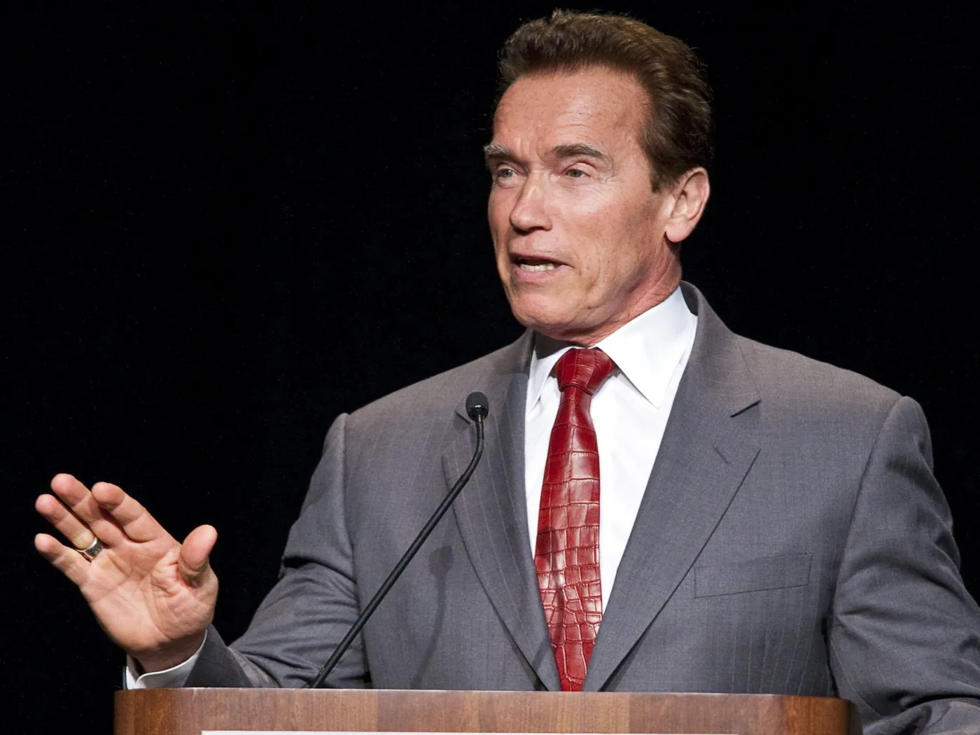 Arnold Schwarzenegger