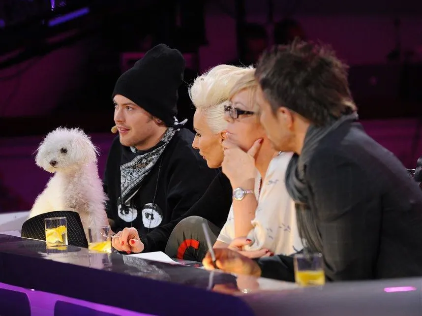 Juror – najlepszy zawód w Polsce