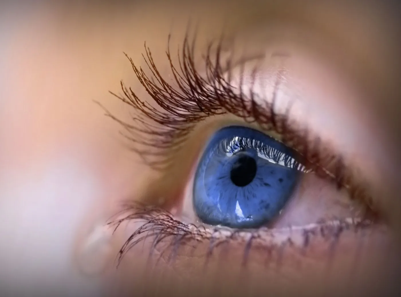 oko siatkówka źrenica