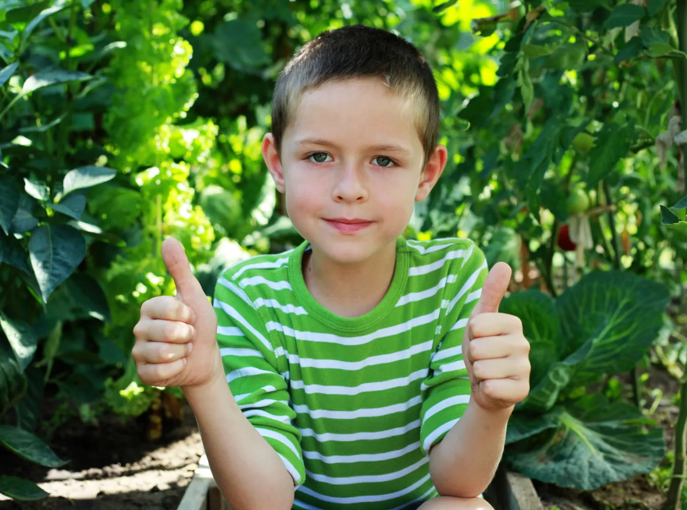 dziecko ogród rośliny