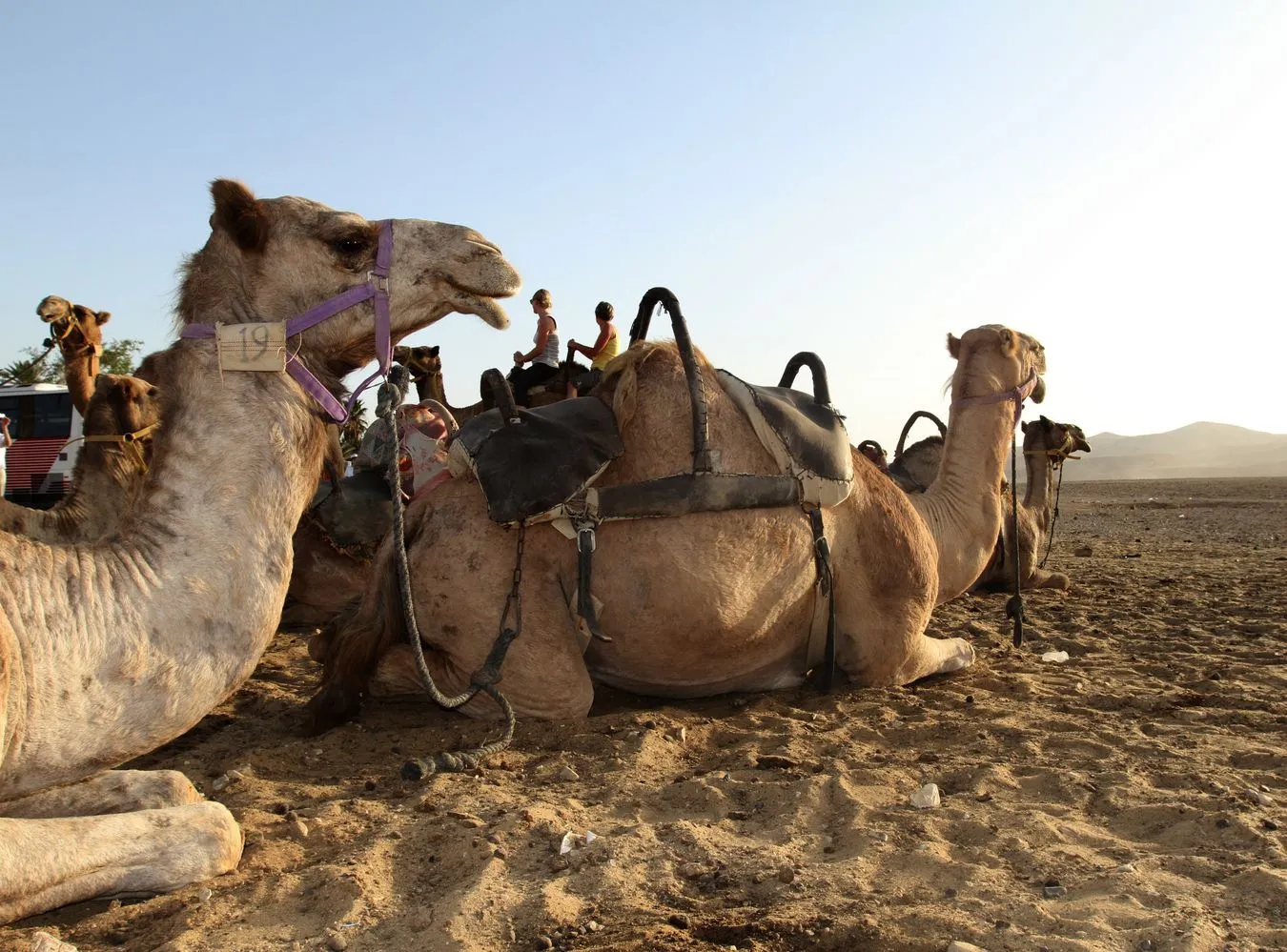 Już sprzedają last minute. Gdzie najlepiej jechać?
