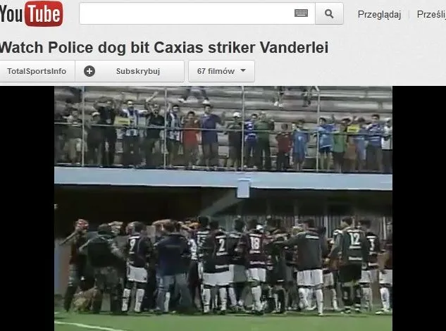 Pies pogryzł piłkarza