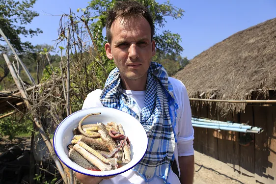 Obiad z węża w pierwszym odcinku nowego programu Pascala