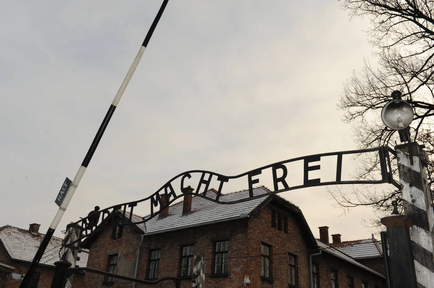 Amerykańska dziennikarka o Polakach: Wymordowali miliony Żydów