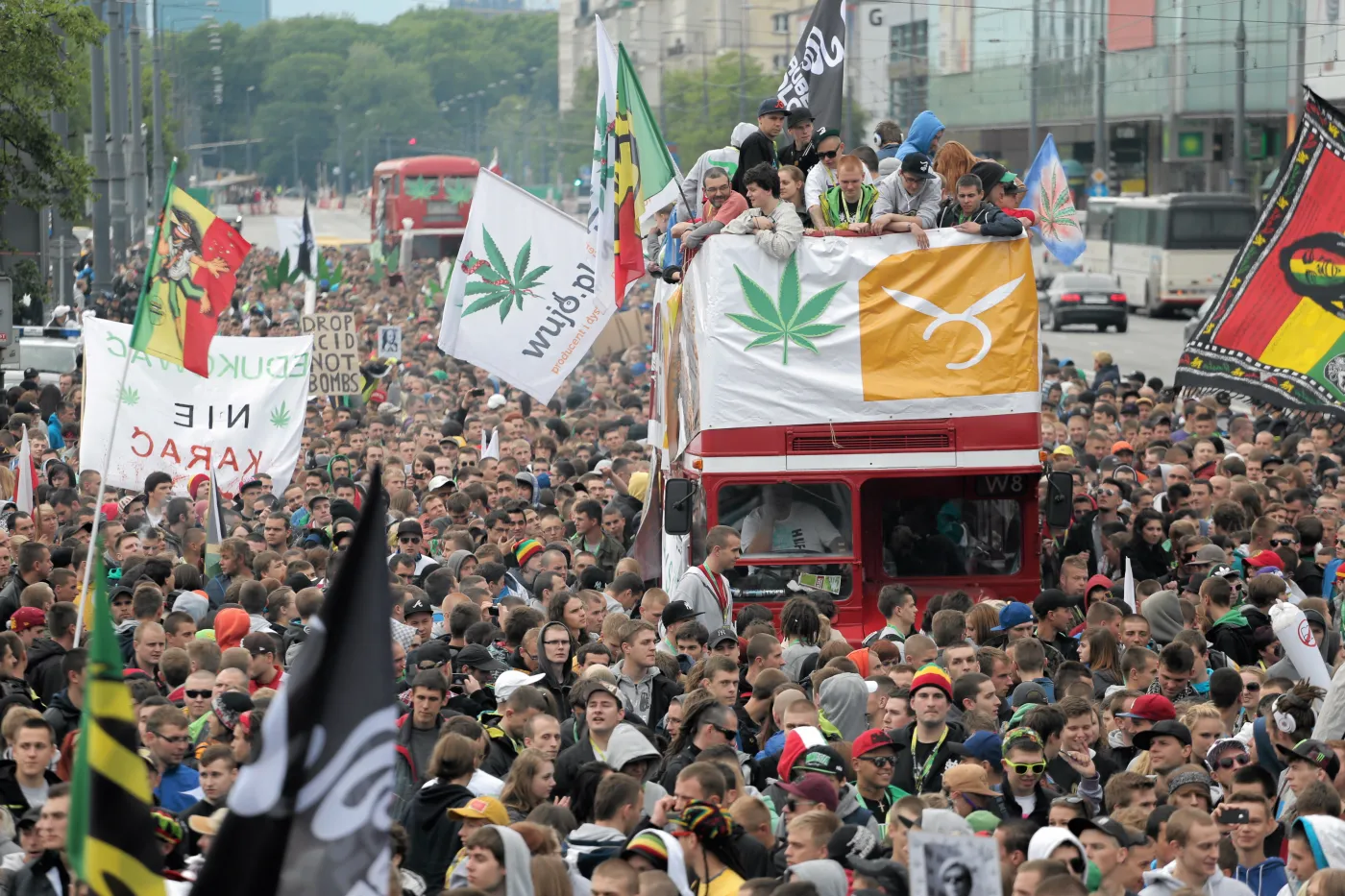 5014221-marsz-wolnych-konopii.jpg