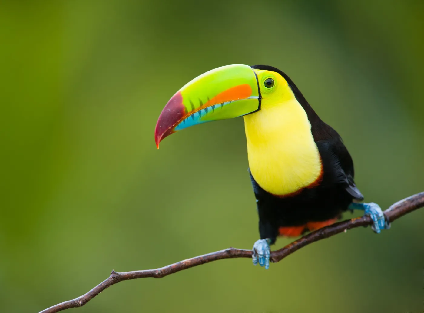 ekoturystyka Kostaryka