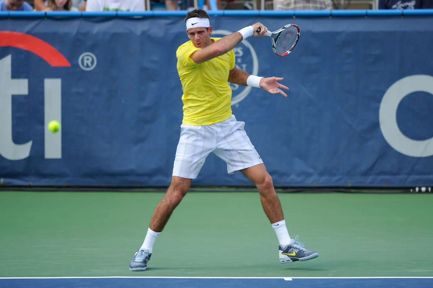 Juan Martin Del Potro