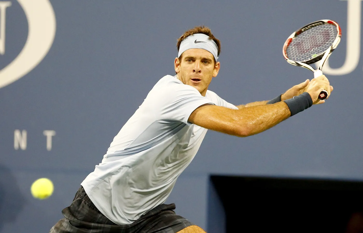 Del Potro wygrał turniej w Tokio. W finale pokonał Raonica