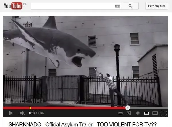 "Tornado rekinów" - internet oszalał na punkcie tego filmu