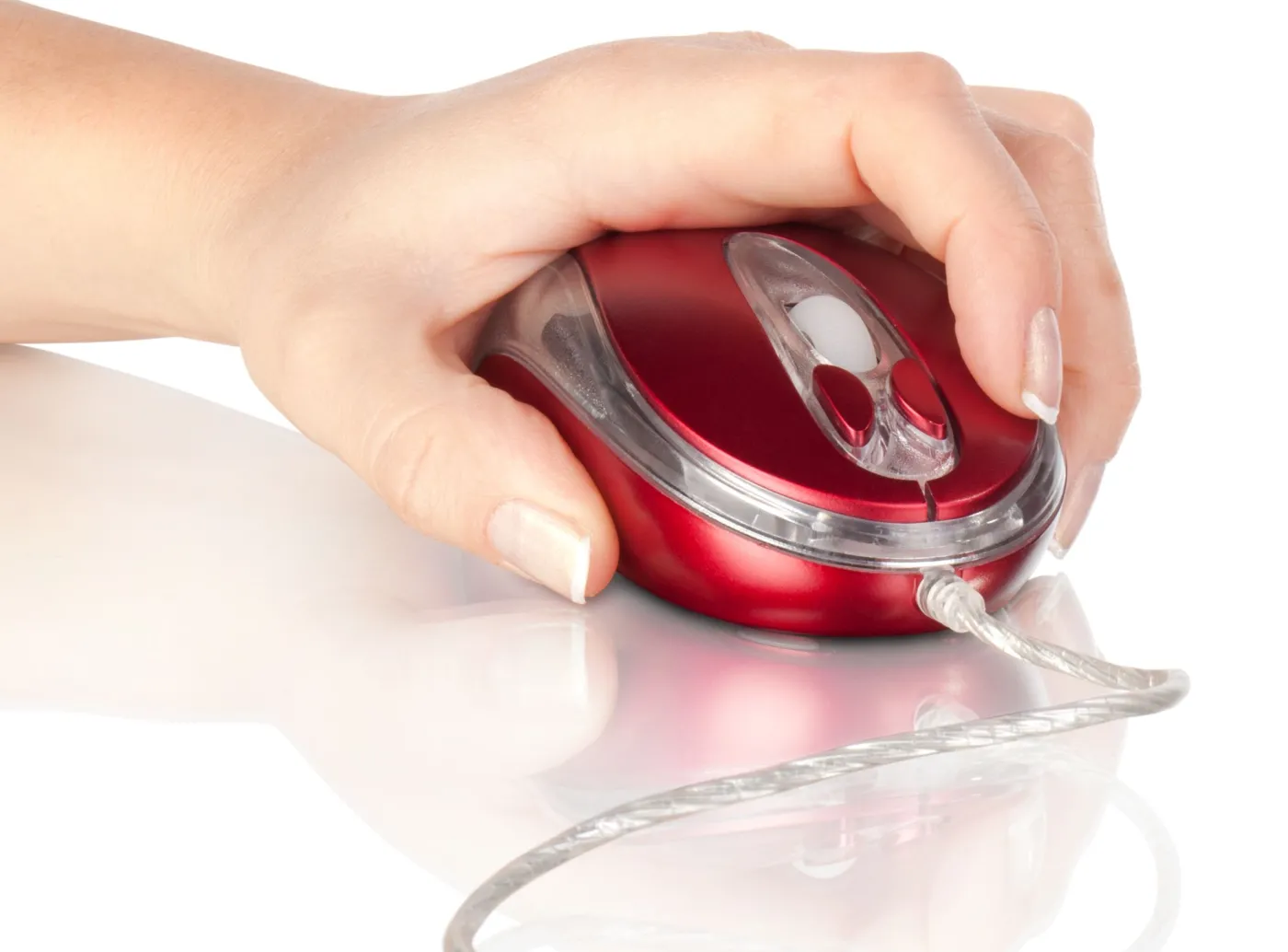 Na myszy więcej groźnych bakterii niż w toalecie!