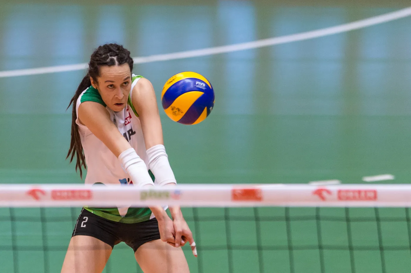 Katarzyna Mroczkowska