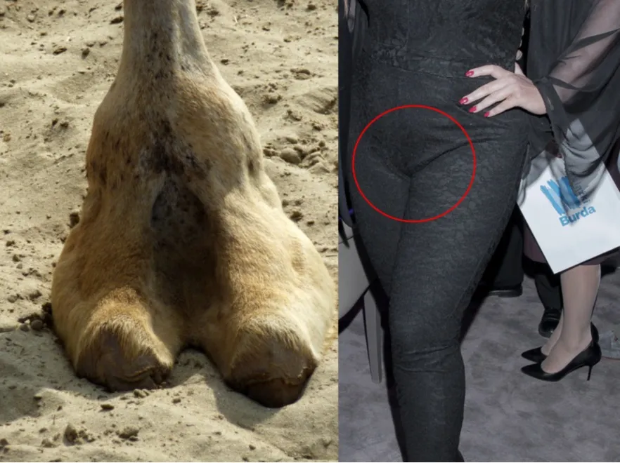 Totalna wpadka! Martę Grycan dopadł efekt "cameltoe"
