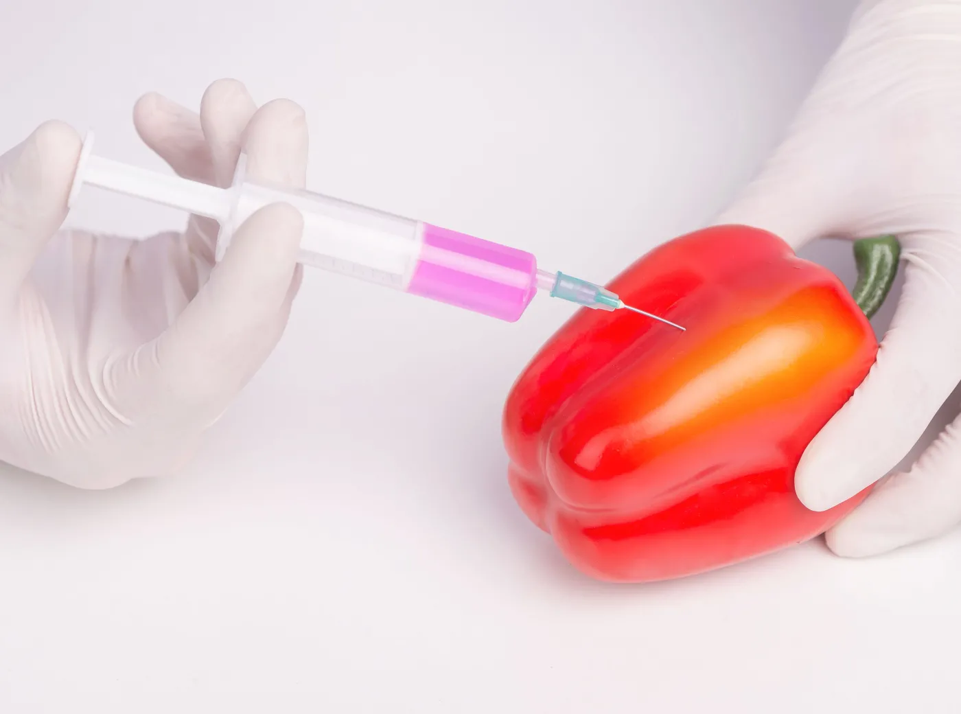 Papryka w laboratorium