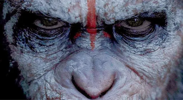 "Ewolucja planety małp" ciekawsza nawet niż "Sekstaśma"?