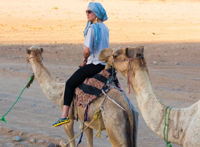 Nie pozwól, by dopadła cię zemsta faraona. I popsuła urlop