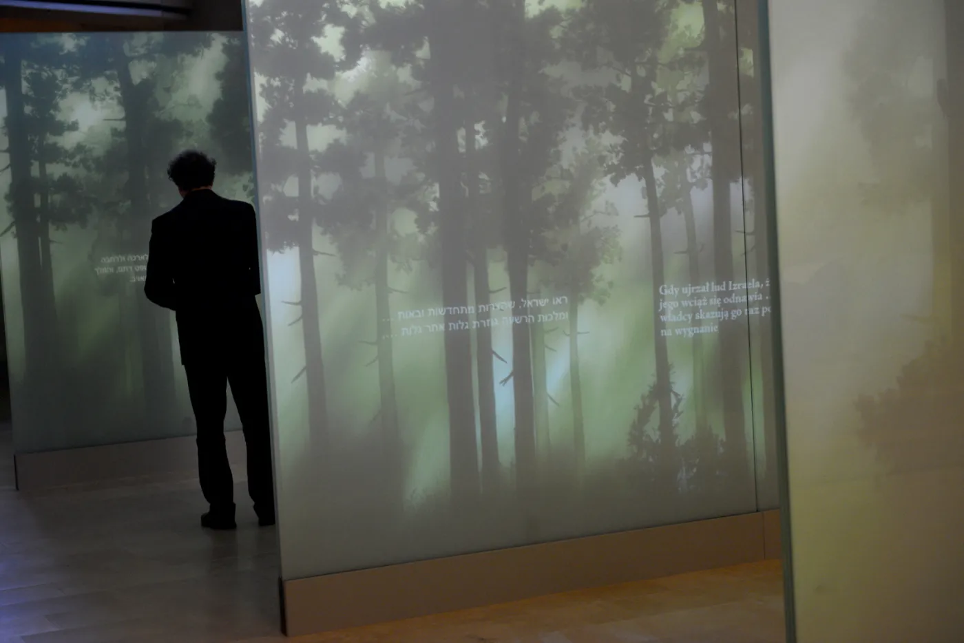  Prezentacja galerii "Las" 