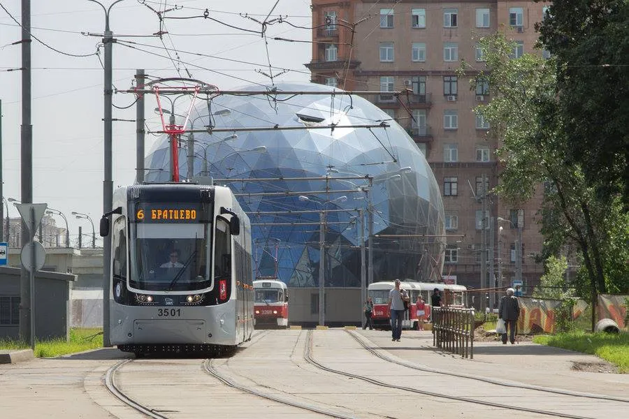 7703080-fostrot-pesy-dla-moskwy.jpg