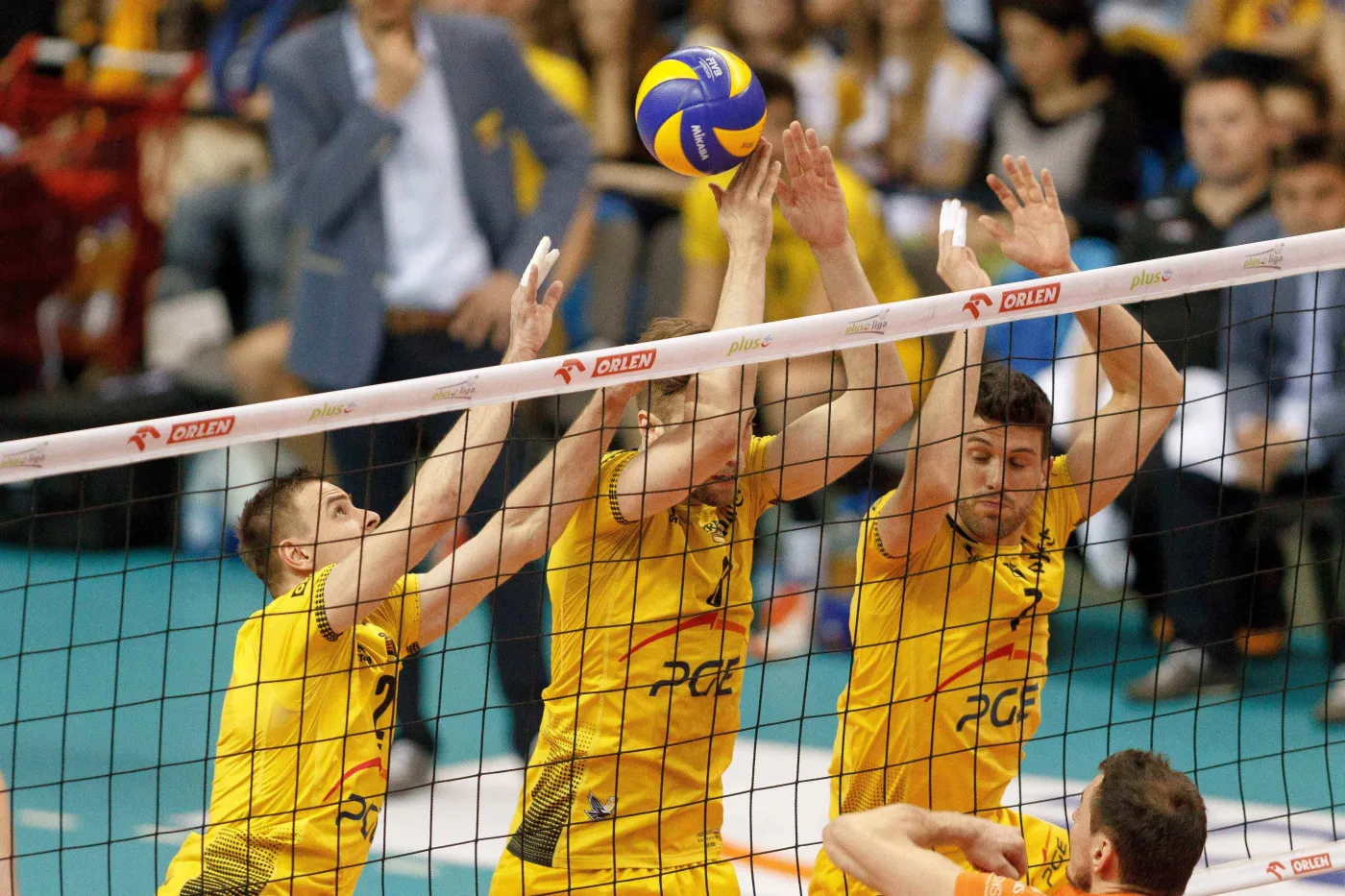 Siatkrze Skry Bełchatów