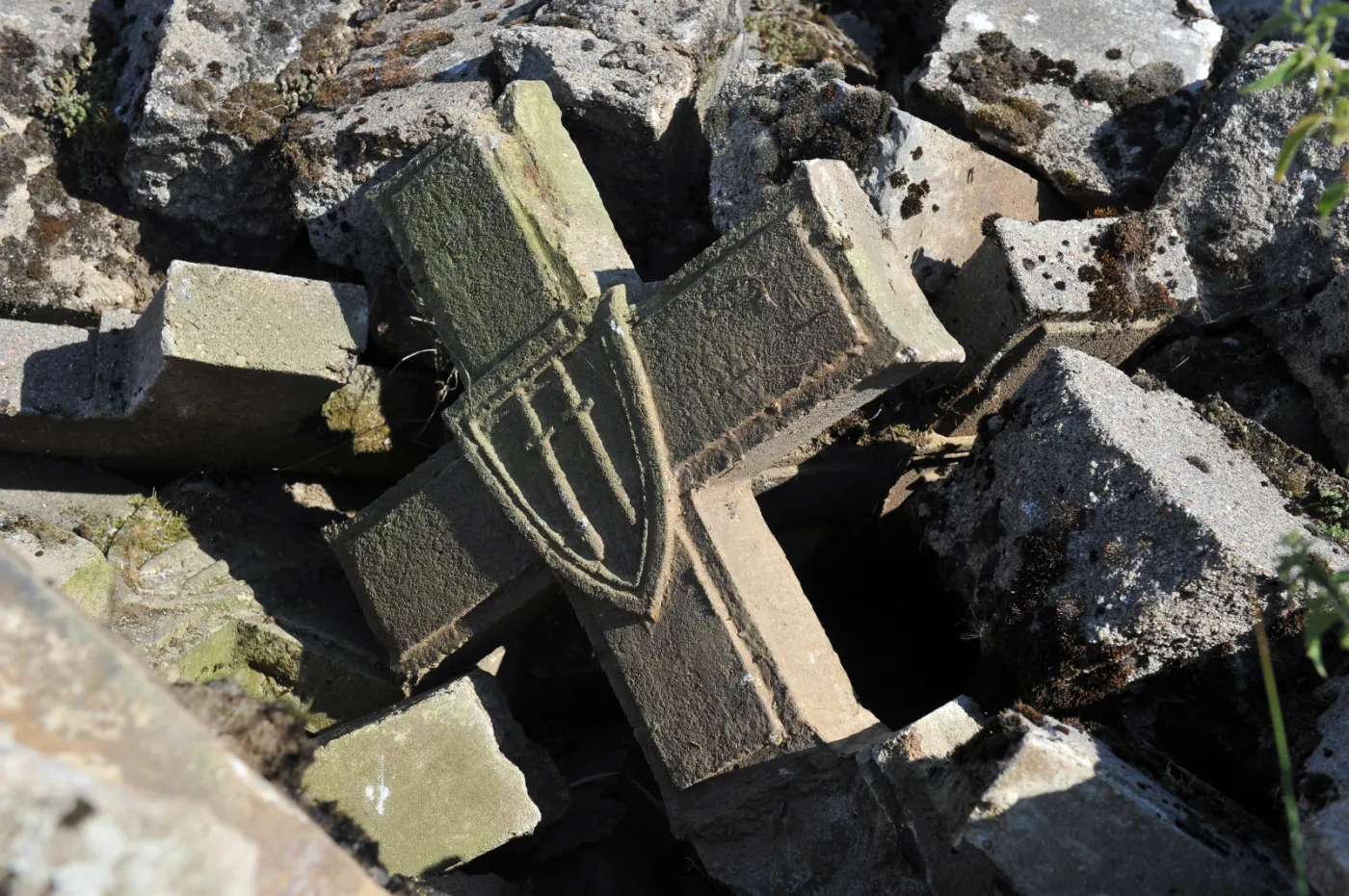 Niski stan Odry odsłonił krzyże z powojennego cmentarza. ZDJĘCIA