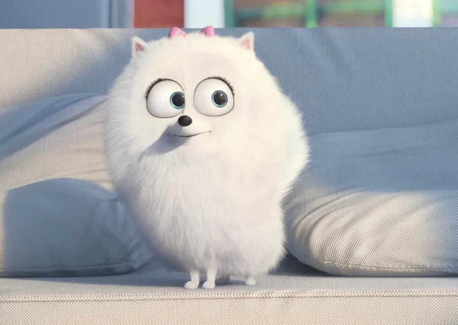 Twój pudel słucha System of a Down, czyli sekretne życie zwierząt