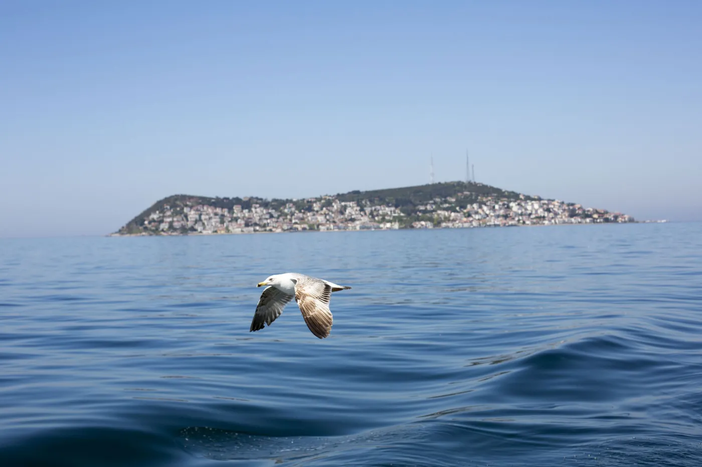 Oto "tureckie Mazury": Wyspy Książęce i wycieczka za jedną kawę