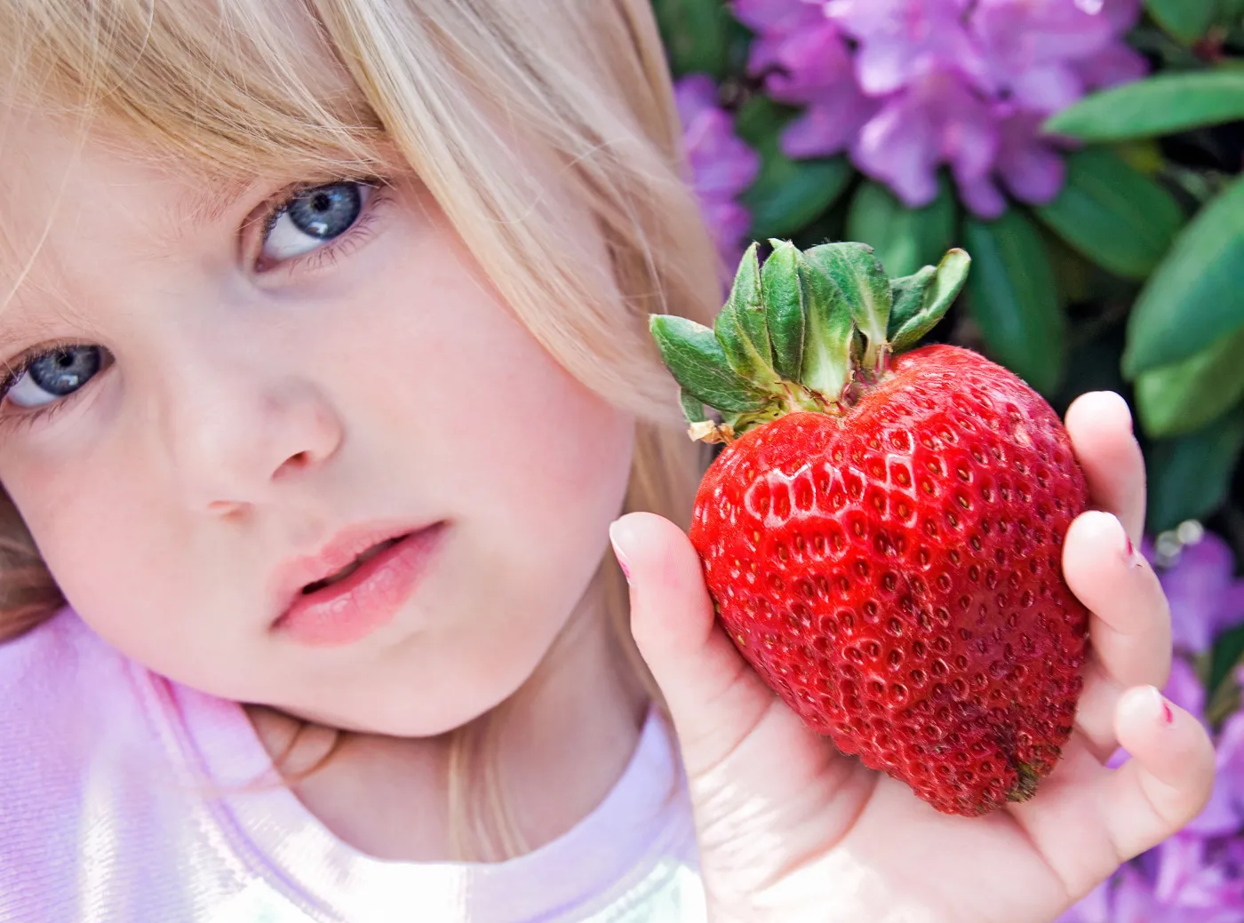 dziecko owoce truskawka