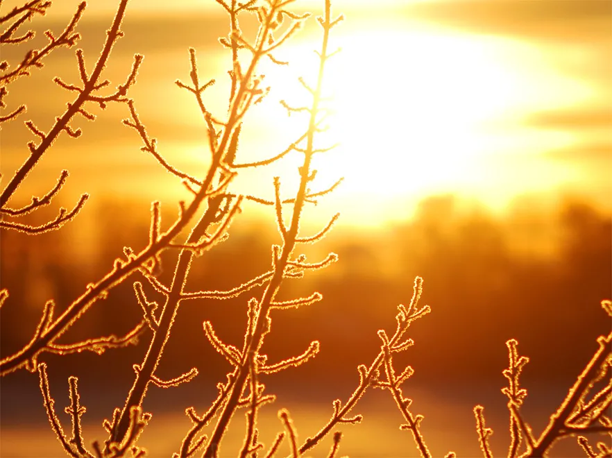 Siarczyste mrozy w Rosji. Nawet minus 52 stopnie Celsjusza!