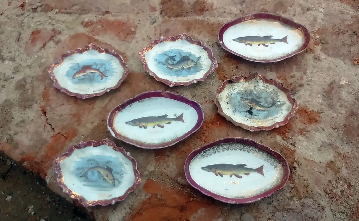 Porcelana, kryształy, stare naczynia... Co odkopano w piwniczce obok Sejmu? [ZDJĘCIA]