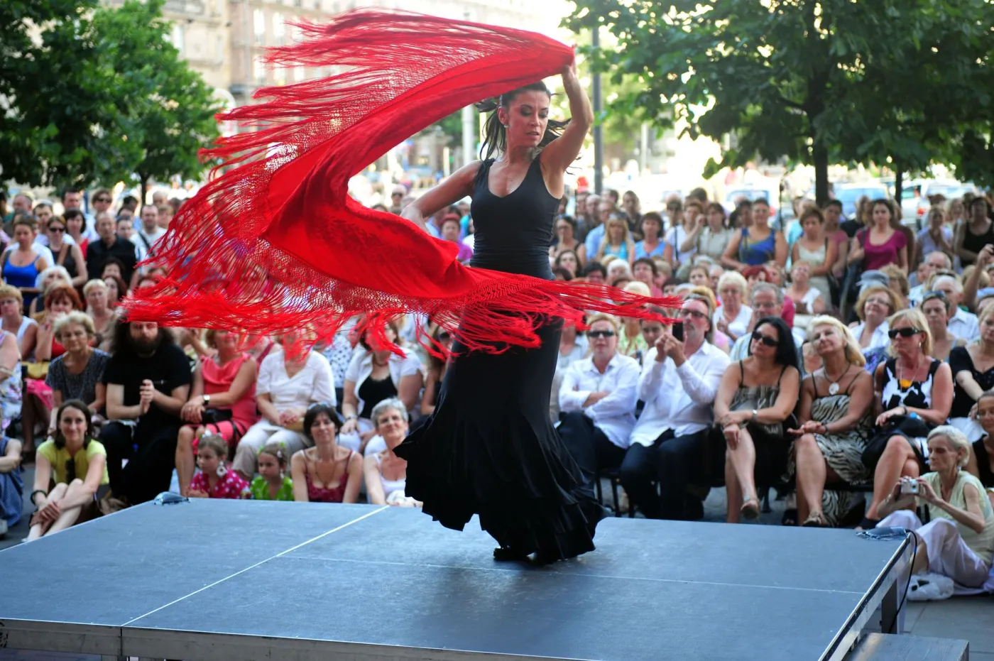 9350284-flamenco-namietnie-fot.jpg