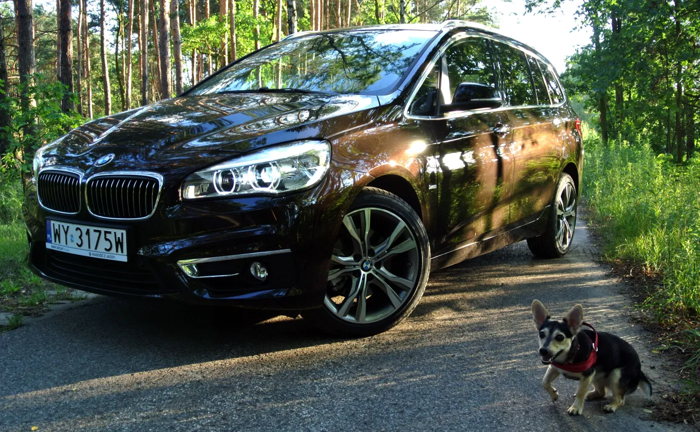 9394160-bmw-serii-2-gran-tourer.jpg