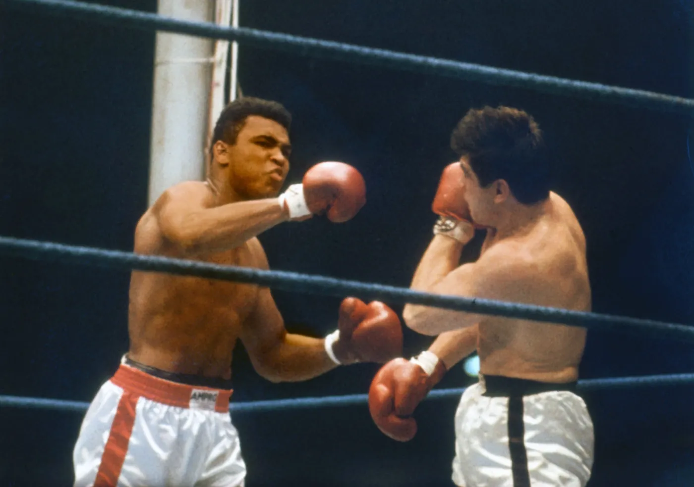 9117913-muhammad-ali-nie-zyje.jpg