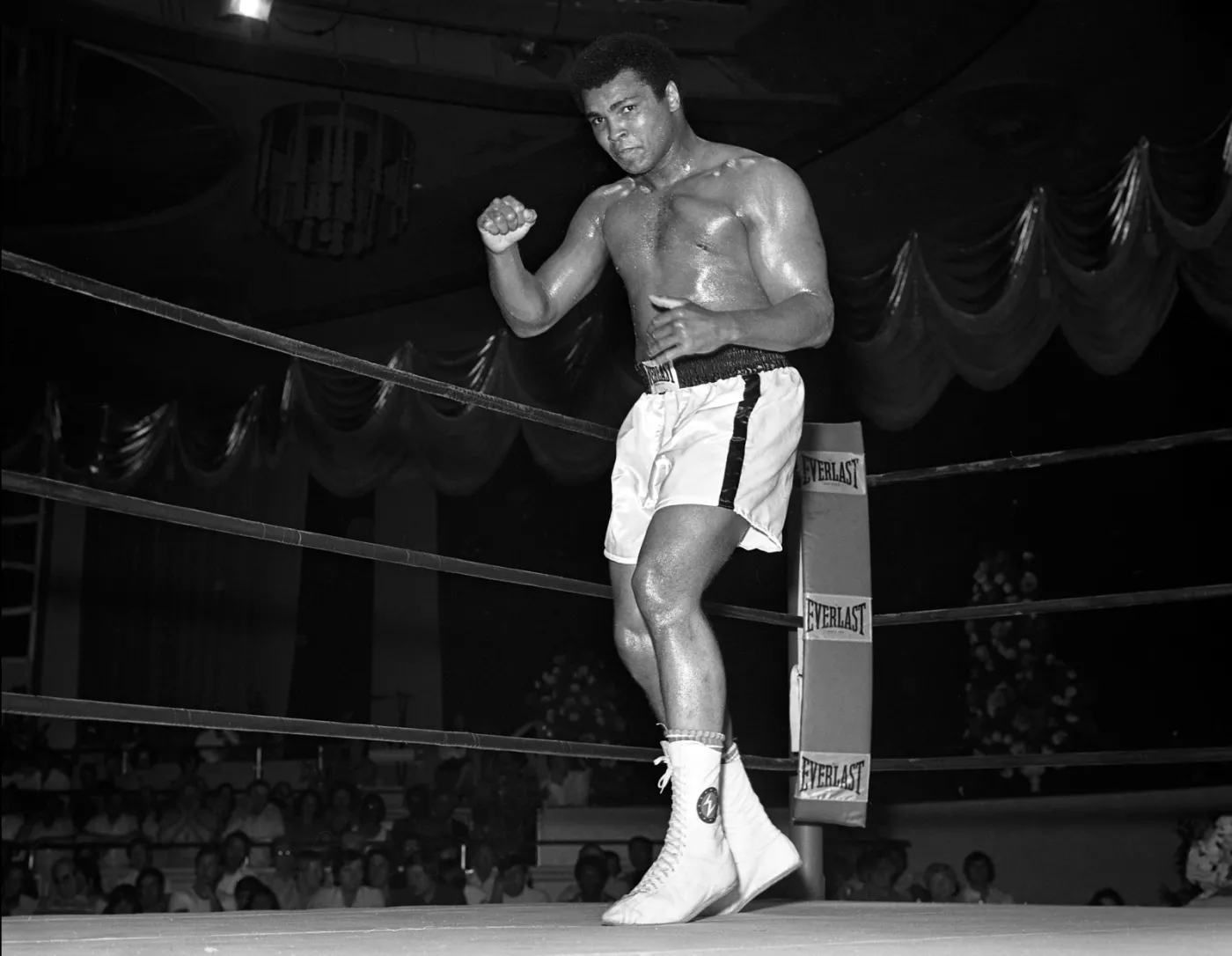 9118105-muhammad-ali-nie-zyje.jpg
