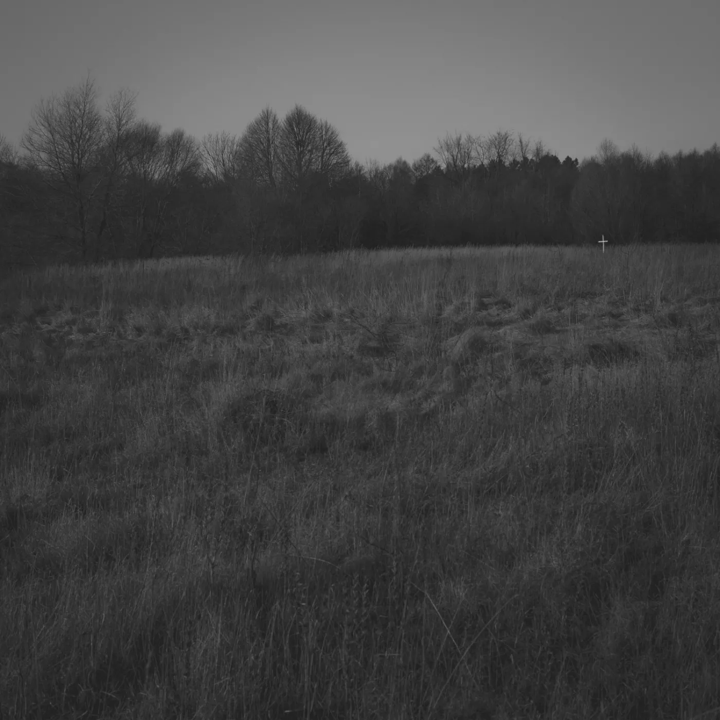 Wołyń, którego nie ma. "Na chłodno, bez emocji nie dajemy rady zrozumieć tego, co się wydarzyło ponad 70 lat temu"