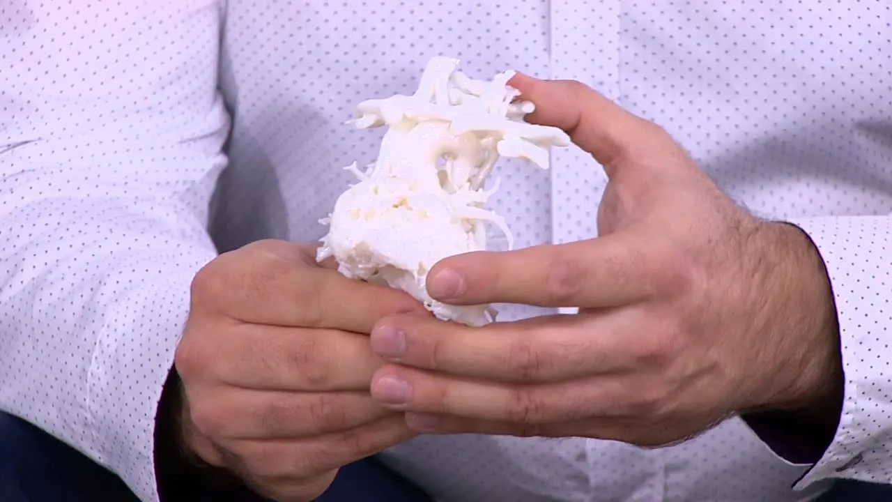 Wynalazek, model serca