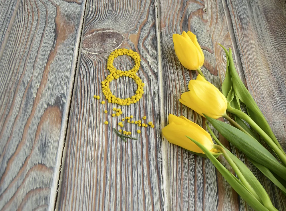 Znane kobiety. Co o nich wiesz? Sprawdź się! [QUIZ NA DZIEŃ KOBIET]