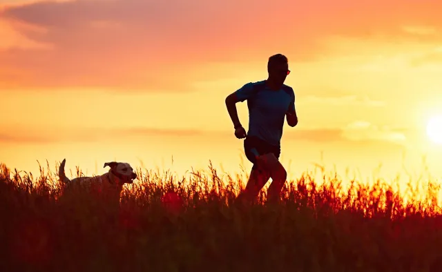 Co kryją odżywki sportowe? Warto po nie sięgać?