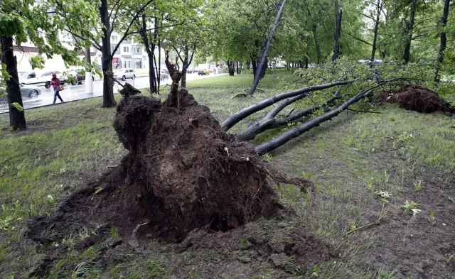 Gwałtowna wichura nad Moskwą. Są ofiary