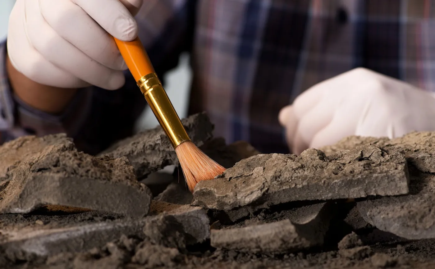 Paleontolog przy pracy