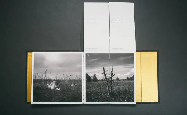 "Echo" Maksymiliana i Magdaleny Rigamontich z recenzją w "New York Timesie"