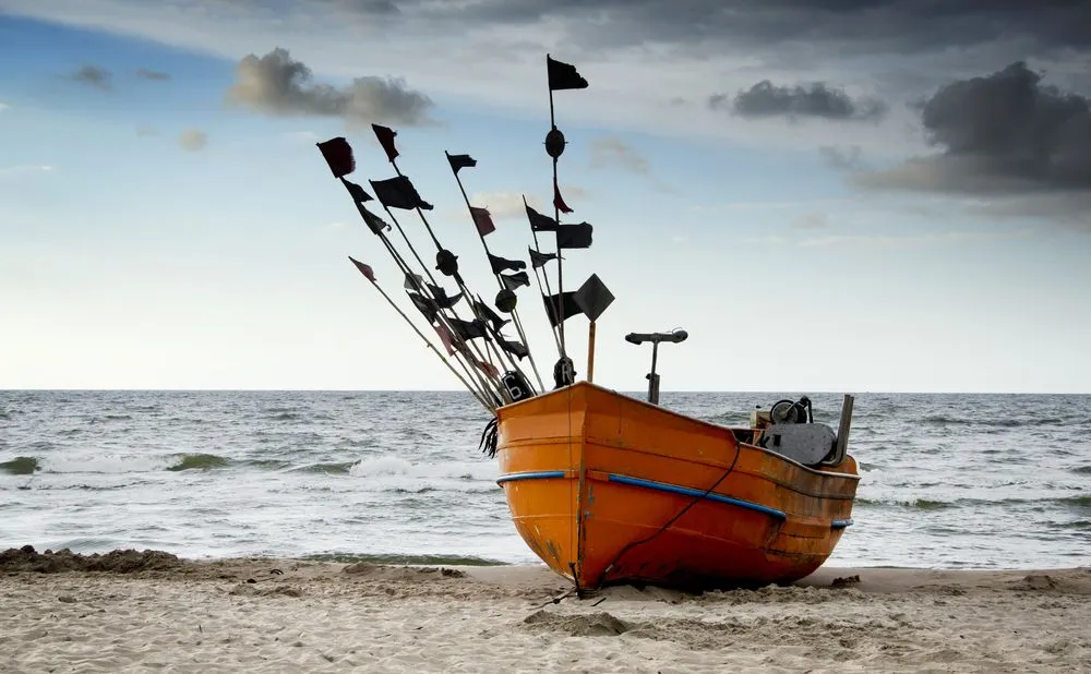 "Bomba z opóźnionym zapłonem". Rybacy wyławiają z Bałtyku owrzodzone ryby