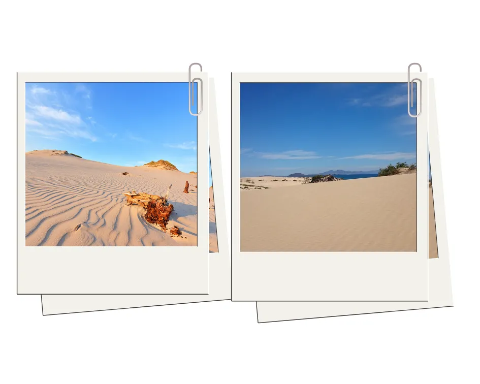 12542427-20190821-slowinski-park-narodowy-i-fuerteventura-travelist.png