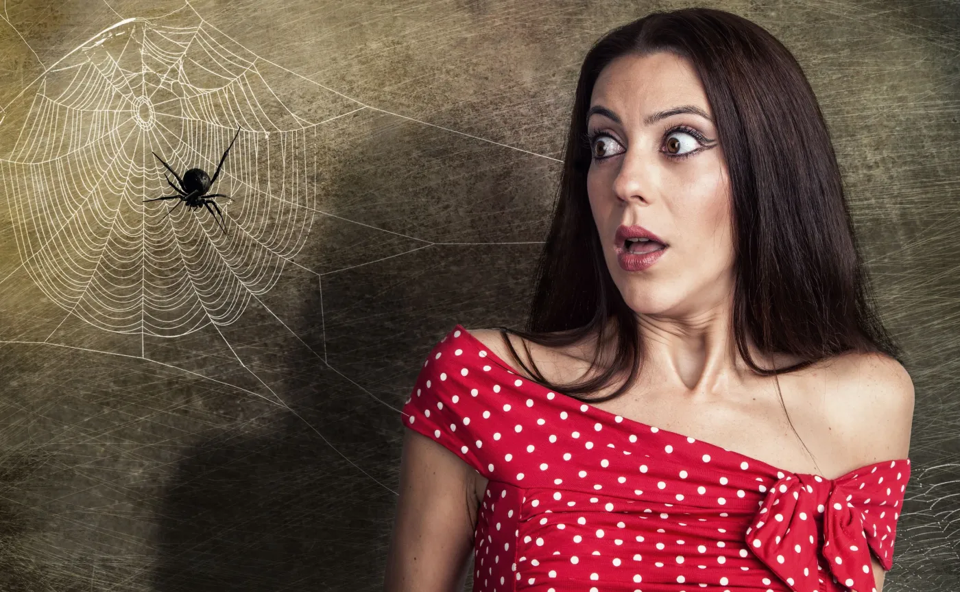 Arachnofobia, czyli paniczny lęk przed pająkami. Czy da się z tego wyjść?