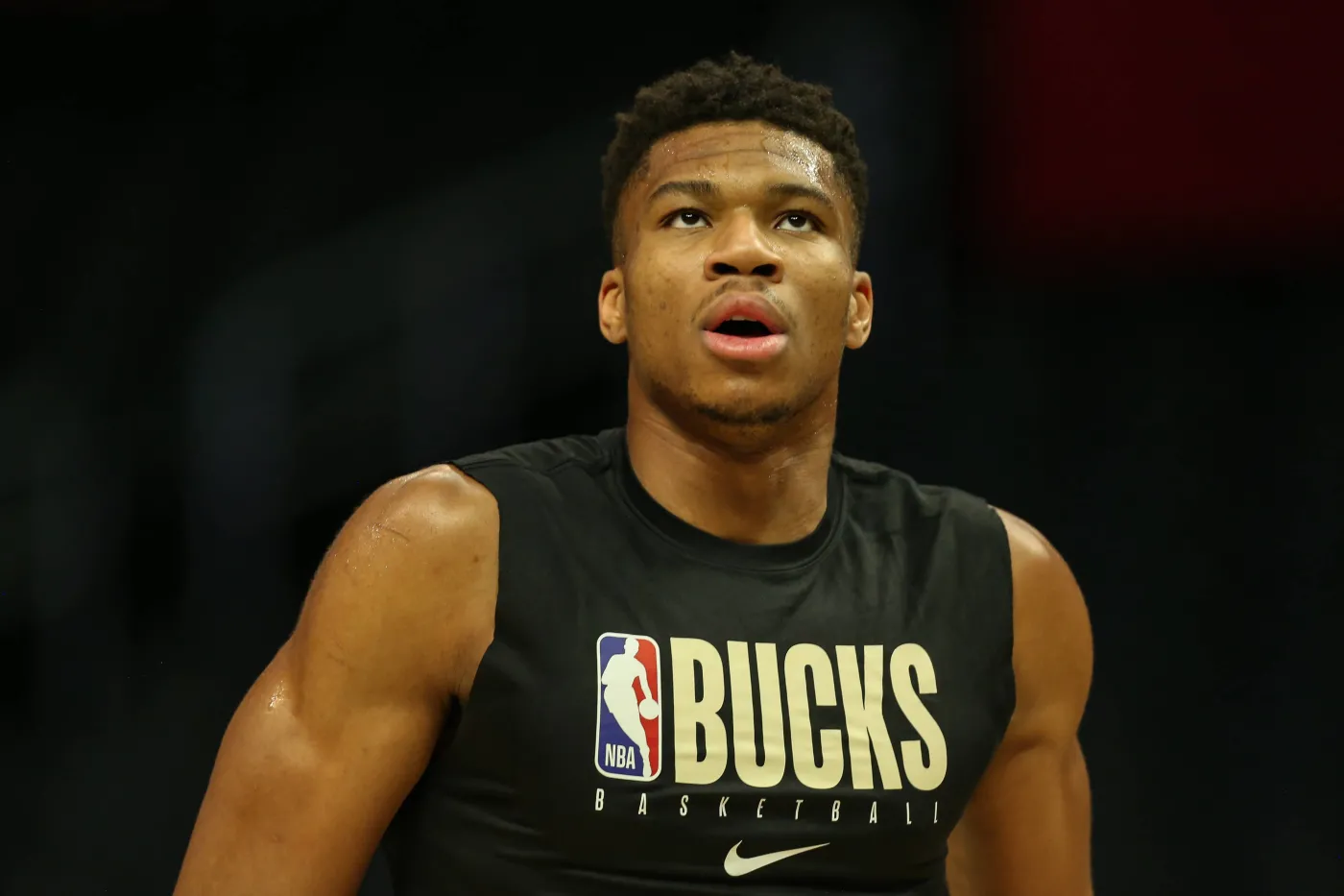 Giannis Antetokounmpo